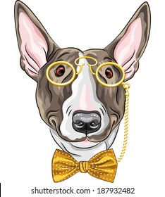 hipster dog Bullterrier  breed in a gold pince-nez and bow tie