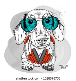 Hipster dog in cap. Vector illustration