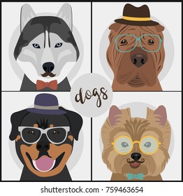 Hipster dog card for birthday card, posters and labels. Vector illustration