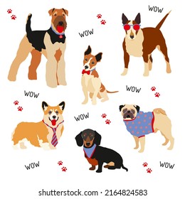 A hipster dog. The characters of domestic dogs in fashionable suits, a vector set with a tie and glasses. Vector illustration on a white background