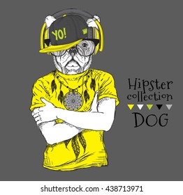 Hipster dog dressed up in t-shirt, headphones, cap and with glasses. Vector illustration.