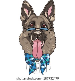 hipster dog German shepherd breed in a blue glasses and bow tie