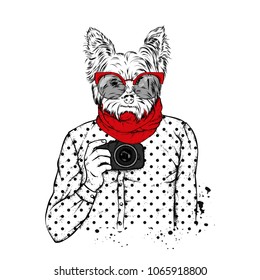 Hipster dog with human body and camera. Animal in clothes. Vector illustration.