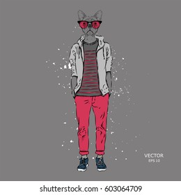 Hipster dressed dog up in jacket, pants and sweater. Vector illustration