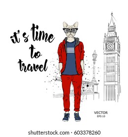 Hipster dressed dog up in jacket, pants and sweater.  London background. Vector illustration