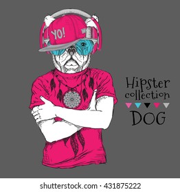 Hipster dressed  dog up in t-shirt, cap and wiht the glasses, headphones. Vector illustration.