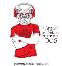 Hipster dressed  dog up in t-shirt and wiht the glasses, headphones. Vector illustration.