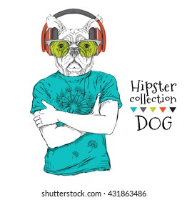 Hipster dressed  dog up in t-shirt and wiht the glasses, headphones. Vector illustration.