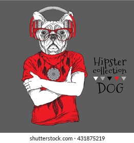 Hipster dressed  dog up in t-shirt and wiht the glasses, headphones. Vector illustration.