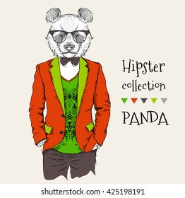 Hipster dressed panda in jacket, pants and sweater. Vector illustration