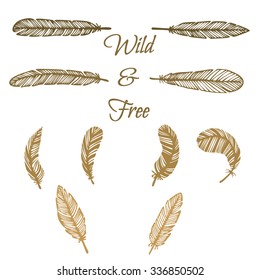 hipster feather elements, vintage doodle outline feather vector