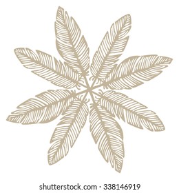 hipster feather elements, vintage doodle outline feather vector
