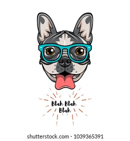 Hipster Geek French Bulldog. Dog geek. Vector illustration isolated on white background.