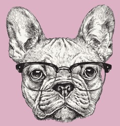 Hipster Geek Francia Bulldog Vektoros Illusztráció