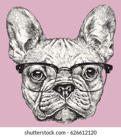 Hipster Geek French Bulldog vector illustration