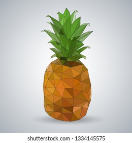 Hipster geometric polygonal fruit pineapple. Triangle illustration