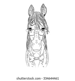 Hipster horse vector illustration. Graphic detailed black pet. 