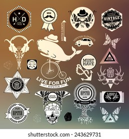 Hipster label, icon, elements, set of vintage hipster label with gothic, sacral sign and symbol