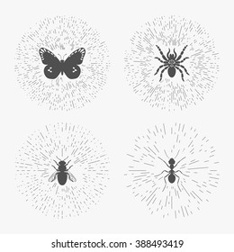 Hipster line logo templates set with insects. Thin line insects labels