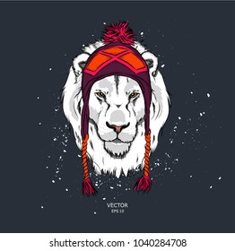 Hipster lion in cap. Vector illustration