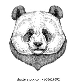 Hipster Panda Cute bamboo bear Image for tattoo, logo, emblem, badge design