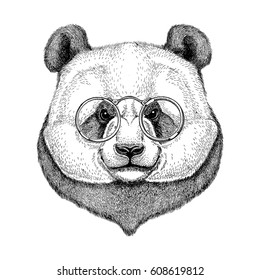 Hipster Panda Cute bamboo bear Image for tattoo, logo, emblem, badge design
