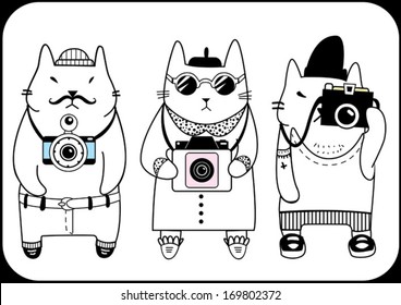 hipster photographers cats
