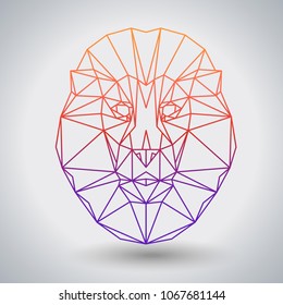 Hipster polygonal animal lion. Triangle animal