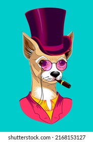Hipster portrait of a chihuahua in a tailcoat, top hat and pince-nez. Vector illustration of a handmade drawing.