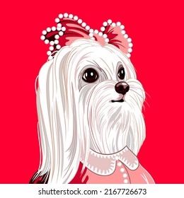 Hipster portrait of a lap dog in a fashionable pink haute couture dress and a bright bow with rhinestones. Handmade drawing vector illustration.