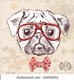 Hipster pug dog with glasses and suit in vector on vintage textured paper background, hand drawn sketchy illustration