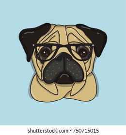 Hipster pug in glasses