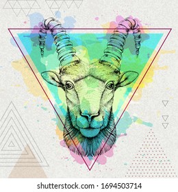 Hipster realistic animal ram or mouflon on artistic polygon watercolor background