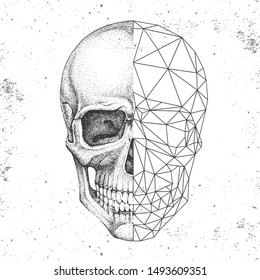 Hipster realistic and polygonal skull on grunge background