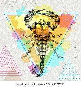 Hipster realistic scorpion illustration on artistic polygon watercolor background. Scorpio zodiac sign