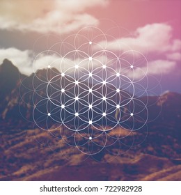 Hipster scientific illustration with flower of life - the interlocking circles ancient symbol in front of blurry photo background.