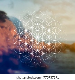 Hipster scientific illustration with flower of life - the interlocking circles ancient symbol in front of blurry photo background.