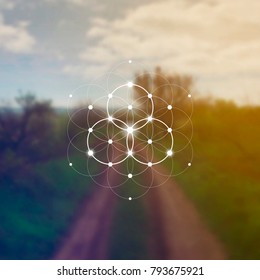 Hipster scientific illustration with flower of life - the interlocking circles ancient symbol in front of blurry photo background