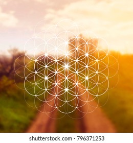 Hipster scientific illustration with flower of life - the interlocking circles ancient symbol in front of blurry photo background