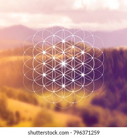 Hipster scientific illustration with flower of life - the interlocking circles ancient symbol in front of blurry photo background