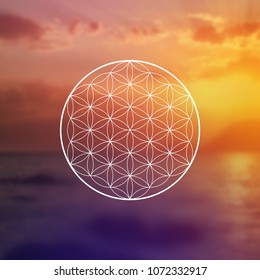 Hipster scientific illustration with tree of life - the interlocking circles  flower of life ancient symbol in front of blurry photo background.