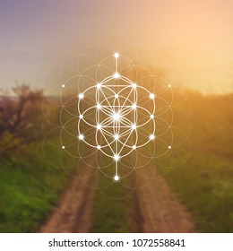 Hipster scientific illustration with tree of life - the interlocking circles  flower of life ancient symbol in front of blurry photo background.