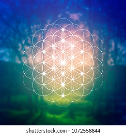Hipster scientific illustration with tree of life - the interlocking circles  flower of life ancient symbol in front of blurry photo background.