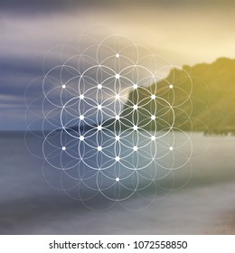 Hipster scientific illustration with tree of life - the interlocking circles  flower of life ancient symbol in front of blurry photo background.