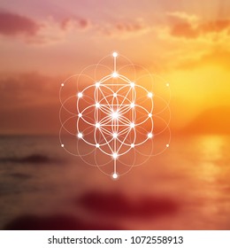 Hipster scientific illustration with tree of life - the interlocking circles  flower of life ancient symbol in front of blurry photo background.