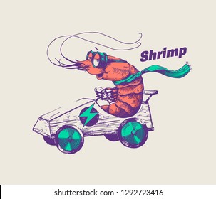 Hipster shrimp is riding an electric go cart vector illustration. Hand drawn racer crab wearing goggles and scarf racing with fast car. Line art design for posters and cool stickers.