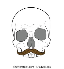 Hipster skull with mustache.White background. hand drawing vector