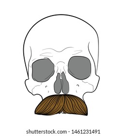 Hipster skull with mustache.White background. hand drawing vector