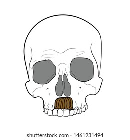 Hipster skull with mustache.White background. hand drawing vector