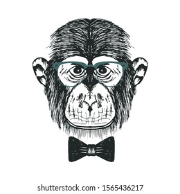 Hipster Strict Monkey Snout Vector Hand Drawn Illustration. Artistic Black and White Animal Wearing Bowtie